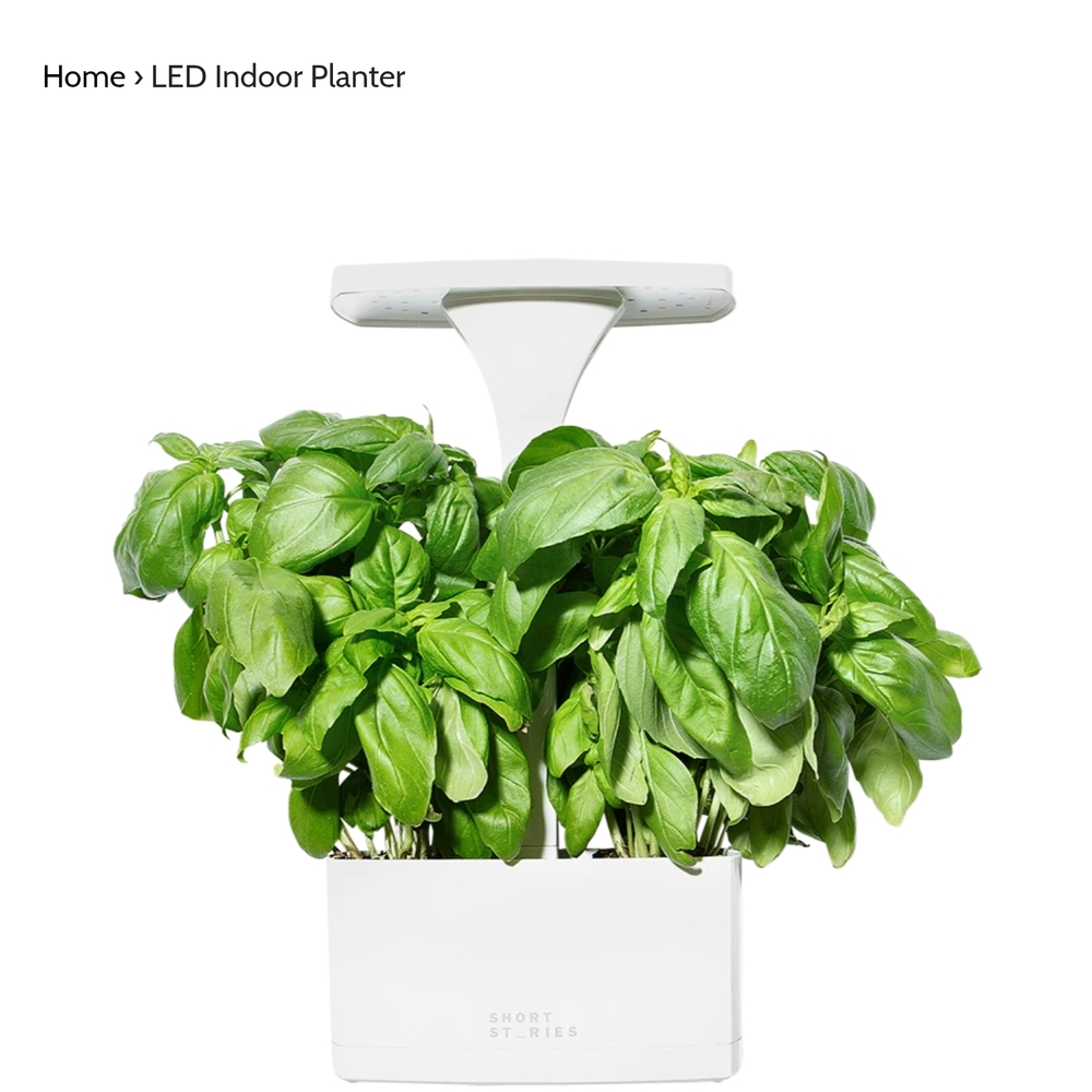 LED Indoor Planter - White